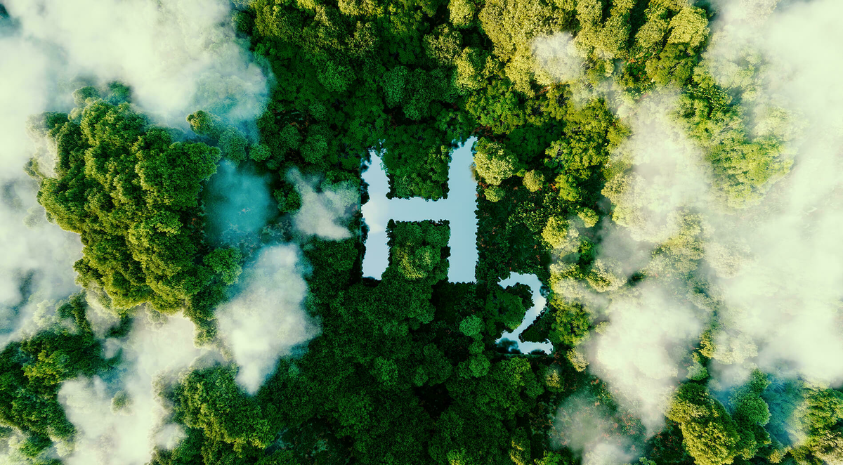 P2 F cover