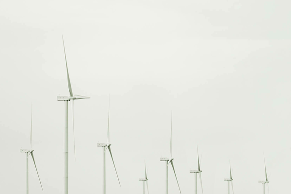 Zbynek burival 4 Nhqy Qe Er P8 unsplash 2