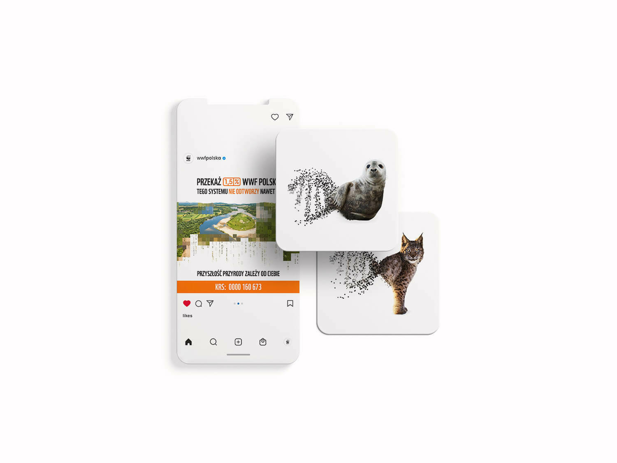 Wwf portfolio